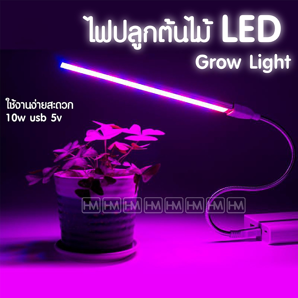led grow light usb ไฟปลูกต้นไม้ เสียบ powerbank ได้ มอนสเตอร่า แคคตัส ไม้ด่าง ไฟปลูกพืช หลอดไฟปลูกต้นไม้ ไฟปลูกผัก