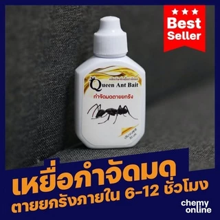 เหยื่อกำจัดมด Queen ant Bait ปลอดภัยกับคน ฆ่ามดยกรัง อาหารมด เจลกำจัดมด ฆ่ามดทั้งรัง(ขนาดบรรจุ 30 กรัม)