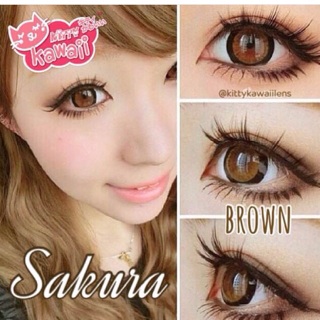 คอนเเทคเลนส์ สี Sakura brown