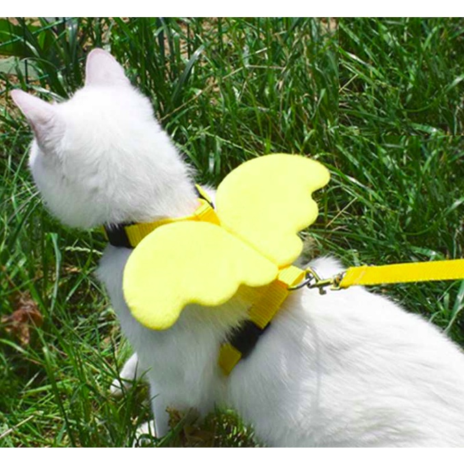 Rantai Kucing พร้อม Sayap Comeal I Pet Cat Dog Angle Wing สายรัดหน้าอกพร้อมสายจูง