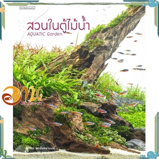 หนังสือ สวนในตู้ไม้น้ำ Aquatic Garden หนังสือใหม่ พร้อมส่ง #อ่านกันเถอะเรา