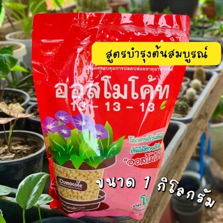 ออสโมโค้ท🌱สูตรบำรุงต้น 13-13-13 ถุงรีฟิวซิปล็อค ขนาด 1 กิโลกรัม