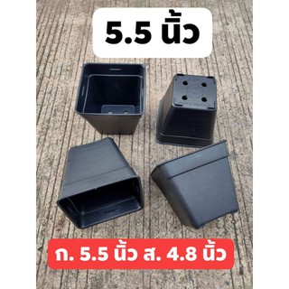 กระถางต้นไม้ แคคตัส 5.5 นิ้ว เหลี่ยม บอนไซ งานหนา 🔴สั่งขั้นต่ำ 3 ใบ