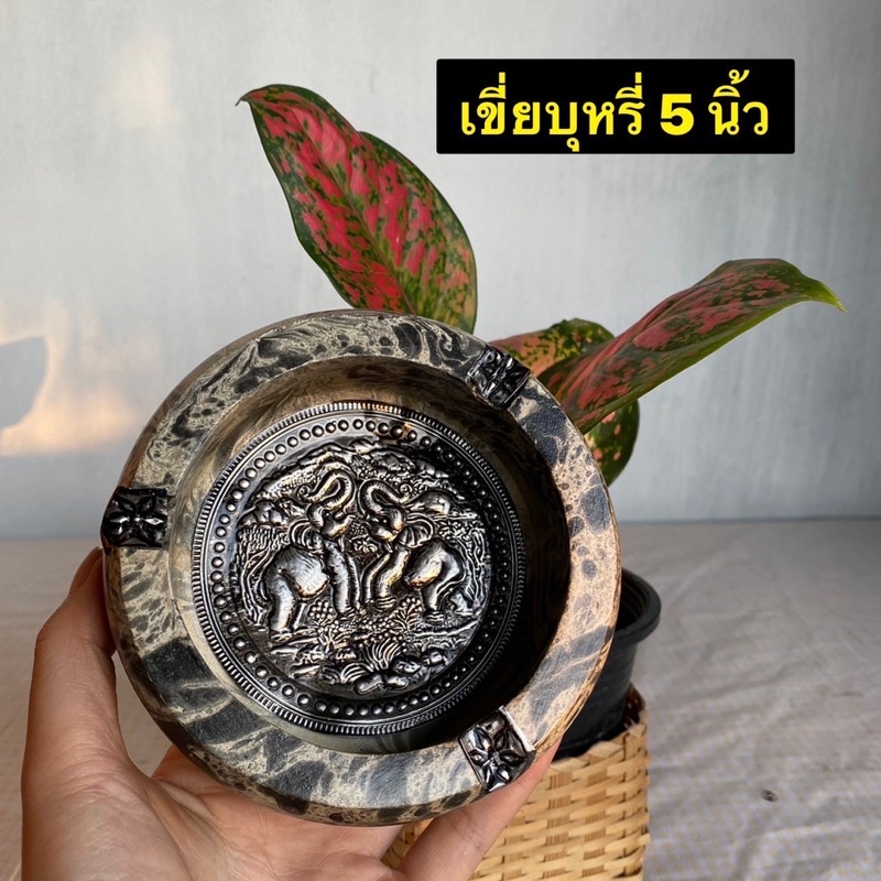 ที่เขี่ยบุหรี่ ไม้มะม่วงแท้ (ทรงกลม)