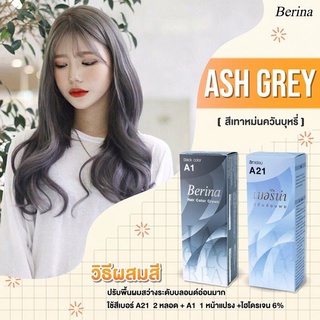 สีควันบุหรี่ Ash Gray เวอรีน่า A1+A21 สีละ 1 กล่อง