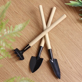 ที่พรวนดินไม้ Mini Garden Tool Set(3ชิ้น)