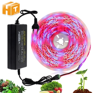 สายไฟ 12 V Grow Light 5050 5 M Led Diy แบบยืดหยุ่นสําหรับปลูกพืชเรือนกระจก