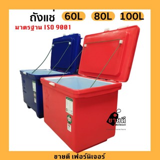 ถังแช่ 60,80,100ลิตร ถังน้ำแข็ง ถังแช่ตราดาว ที่เก็บน้ำแข็ง มาตรฐาน ISO 9001