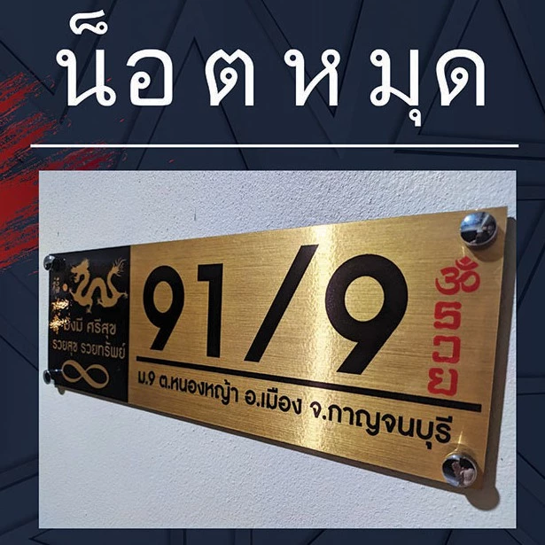 อุปกรณ์ติดตั้งป้าย ชุดน็อตหมุด (เฉพาะน็อตหมุดไม่รวมป้าย)
