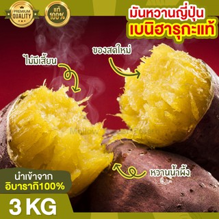 ส่งฟรี มันหวานญี่ปุ่น เบนิฮารุกะ 3kg นำเข้าจากญี่ปุ่นแท้ 100% มันญี่ปุ่นหวาน มันหวาน มันญี่ปุ่น ของขวัญ กระเช้าปีใหม่