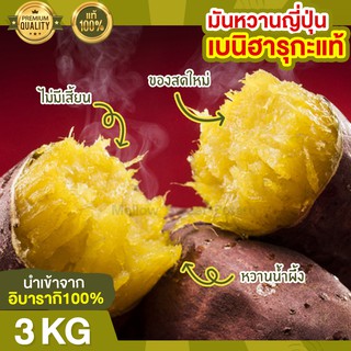 ส่งฟรี มันหวานญี่ปุ่น เบนิฮารุกะ 3kg นำเข้าจากญี่ปุ่นแท้ 100% ปลูกที่ญี่ปุ่น หวาน ฉ่ำ สดใหม่ทุกสัปดาห์