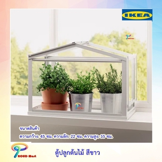 ตู้ปลูกต้นไม้ บ้านต้นไม้ ตู่ใส่โมเดล ตู้ประดับ ซอคเกร์ IKEA