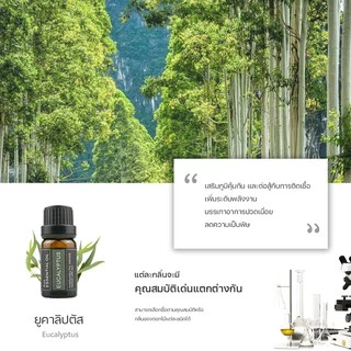 น้ำมันหอมระเหย น้ำหอมอโรม่า น้ำหอมเครื่องพ่นไอน้ำ สกัดจากพืช100% บริสุทธิ์ 10มล น้ำมันหอม ใช้คู่กับเครื่องพ่นไอน้ำ B-001