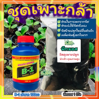 วัสดุเพาะกล้า+ฮอร์โมนเร่งราก 🍃น้ำรากเร่งรากB-1 + พีชมอส วัสดุปลูกคุณภาพสูง ต้นกล้าแข็งแรง ​เพาะเมล็ดอัตราการงอกสูง