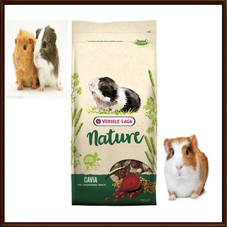 Nature cavia อาหารหนูเเก๊สบี้ ขวัญ ตะเภา 700 กรัม