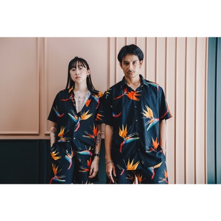เสื้อฮาวายลายดอกไม้ bird of paradise