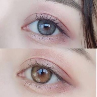 Roze Gray / Roze Brown / Mavia Bright Brown มินิ โทนธรรมชาติ สีเทา สีน้ำตาล Contact Lens Bigeyes คอนแทคเลนส์ ค่าสายตา