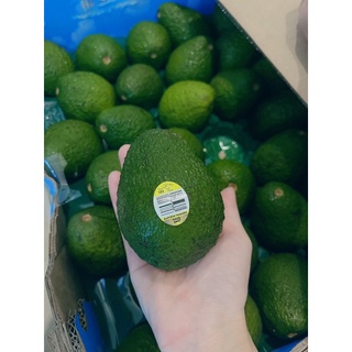 🥑สด เนื้อแน่น🥑 อโวคาโด Hass 1 ลูก นำเข้าออสเตรเลีย เนื้อแน่น มัน อร่อย !!!