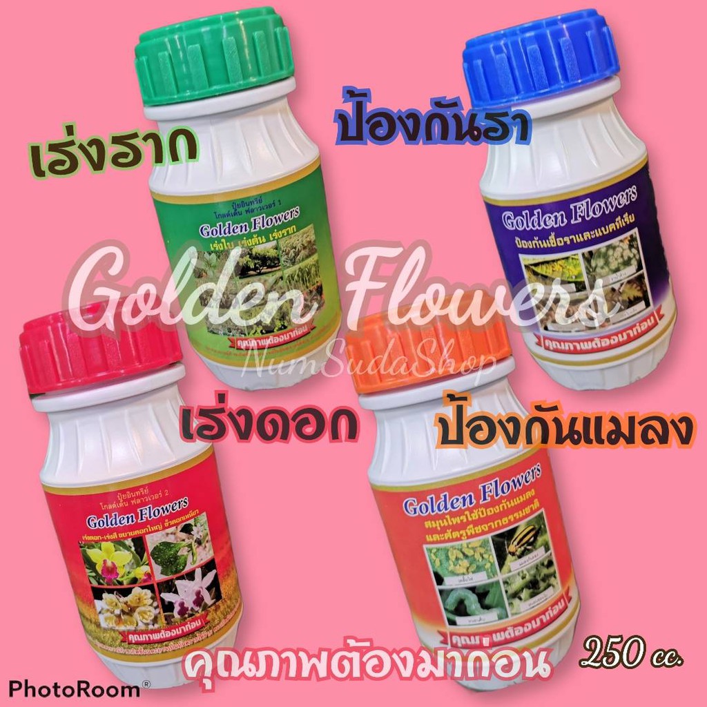 ปุ๋ย​ ยากันรา ยาเร่งราก ยากันแมลง ราสนิม เร่งดอก แคคตัส กระบองเพชร ป้องกันแมลง ชนิดน้ำ Golden flower