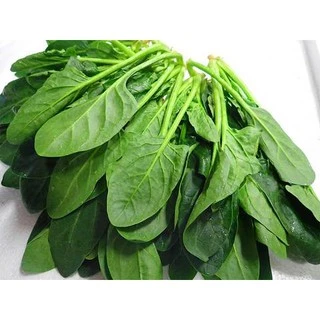 เมล็ดพันธุ์ ปวยเล้ง ปวยเล้งญี่ปุ่น 30 เมล็ด [10 เเถม 1 คละได้ ]