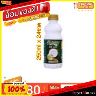 🔥HOT🔥 อัมพวา กะทิ100% ขนาด 250ml/ขวด ลังละ24ขวด(PET) Coconut Milk ขาว ข้น หอม มัน เหมือนคั้นกะทิสด วัตถุดิบ, เครื่องปรุง