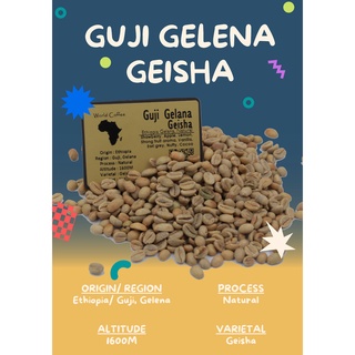 พร้อมส่ง เมล็ดกาแฟดิบ Guji Gelena Geisha G1/G3 Natural Process ขนาด 1kg / เมล็ดกาแฟนอก/เมล็ดกาแฟสารเอธิโอเบีย