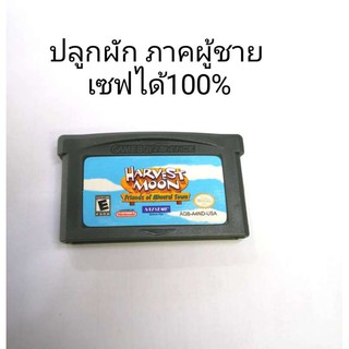 ตลับเกมบอย gba / harvest moon / ภาคผู้ชาย