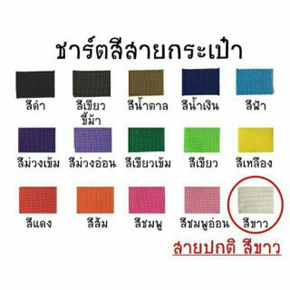 ชาร์ตสีสายกระเป๋า