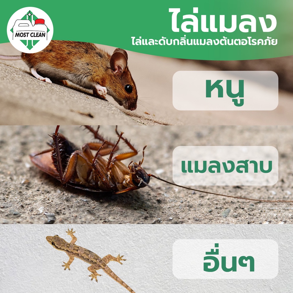 MostClean น้ำยาฆ่าเชื้อดับกลิ่น Xylon 3800ml สูตรเข้มข้น ใช้แช่ผ้า ฆ่าเชื้อโรค ไล่สัตว์ แมลงสาบ