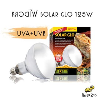 Exo Terra Solar Glo 125W หลอดไฟจำลองแสงอาทิตย์ ให้ความร้อน รังสี UVA+UVB ในหลอดเดียวจบ [EX12]