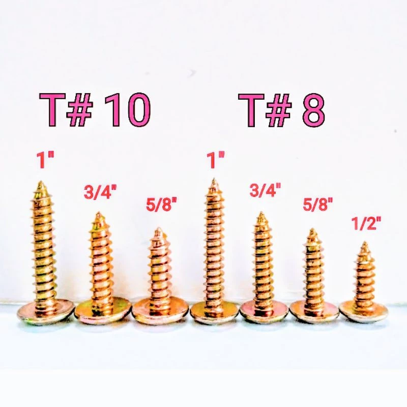 100ตัว สกรูเกลียวปล่อย น็อตเกลียวปล่อย หัวร่ม หัวT หัวกระทะ ชุบรุ้งสีทอง #8#10