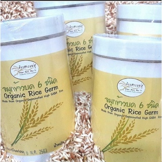 Organic Rice Germ จมูกข้าวอินทรีย์ 6 สายพันธุ์ จมูกข้าว ของเราผลิตมาจากข้าวทั้งหมด 6 ชนิดด้ว