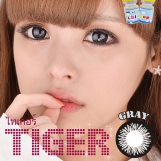 Tiger Gray บิ๊กอาย โทนแบ๊ว สีเทา  🌈 คละแบรนด์ ค่าอมน้ำ38% Contact Lens Bigeyes คอนแทคเลนส์ ค่าสายตา สายตาสั้น สายตาปกติ