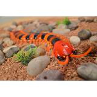 INNOVATION SCOLOPENDRA ตะขาบหุ่นยนต์ บังคับด้วยรีโมท NO.9901