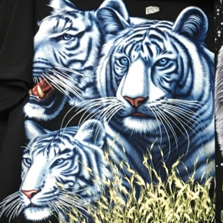 Tiger#2 Street Tshirt