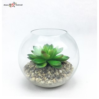 สวนโหลแก้ว เทอราเรี่ยม artificial terrarium