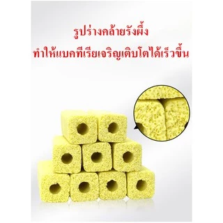 C-bar ตู้ปลา ซีบาร์แท่งสี่เหลี่ยมสีเหลือง วัสดุกรองตู้ปลา-บ่อปลา ช่วยทำให้น้ำใส ใช้ได้นาน เหลี่ยมมนเหลือง