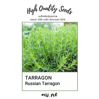 เมล็ดสมุนไพรฝรั่ง Russian Tarragon บรรจุ 500 เมล็ด