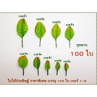 ใบไม้ประดิษฐ์ เบอร์ 1-9 / 100 ใบ ใบไม้เทียม ใบไม้ปลอม ใบกุกลาบ ใบไม้ตกแต่ง ศิลปะ