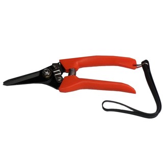 Solo pruning shearsกรรไกรตัดแต่งกิ่งไม้NO.213 -สีแดง(6อัน)