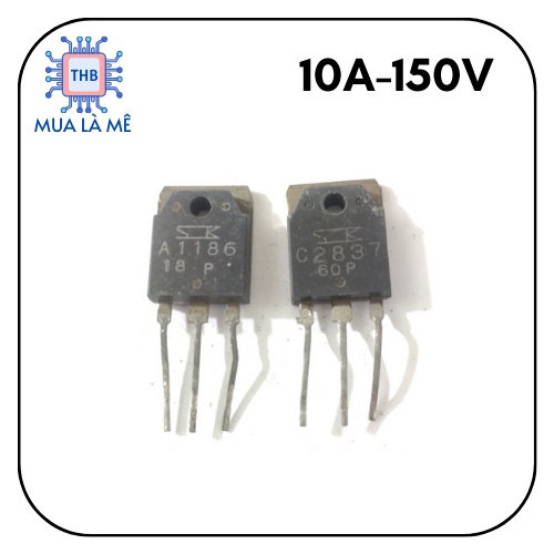 หอยลายถอด A1186 C2837 คู่