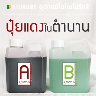 ปุ๋ย AB 1 ลิตร [ชนิดน้ำ] ผักสลัด ปลูกผักไฮโดรโปนิกส์ (1:200) | KP การเกษตร