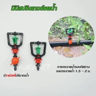 มินิสปริงเกอร์ สปริงเกอร์ รดน้ำต้นไม้ รดน้ำสนาม รดน้ำพืชสวน พืชไร่