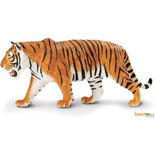 Safari Ltd. : SFR111389 โมเดลสัตว์ Siberian Tiger