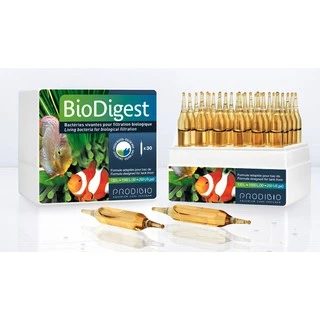 Prodibio - BioDigest ขนาดหลอด 1 ml. แบคทีเรีย Nitrosomonas Nitrobacter ทำน้ำใส กำจัดแอมโมเนีย กำจัดไนไตรต