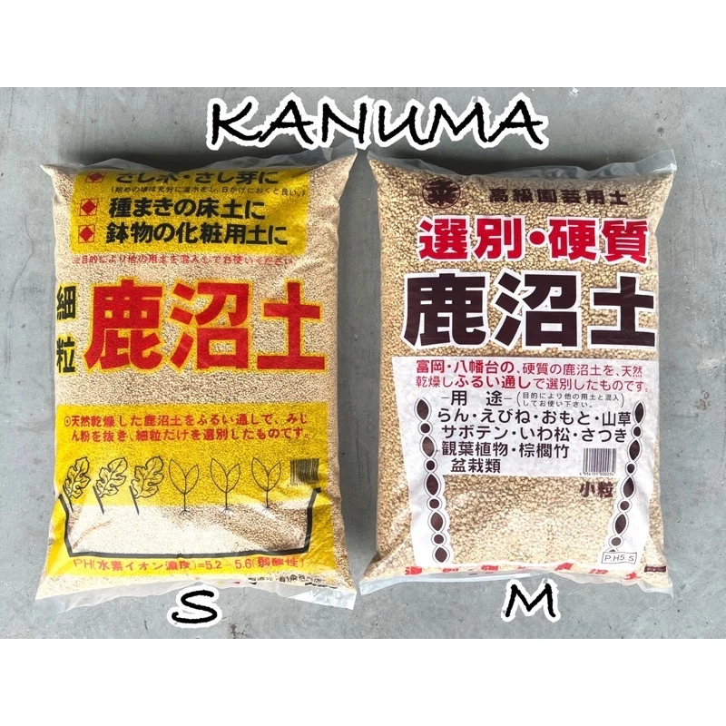 ดินญี่ปุ่น KANUMA ดินกระบองเพชร ดินแคคตัส ผสมปลูกบลูเบอร์รี่