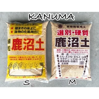 ดินญี่ปุ่น KANUMA ดินกระบองเพชร ดินแคคตัส ผสมปลูกบลูเบอร์รี่
