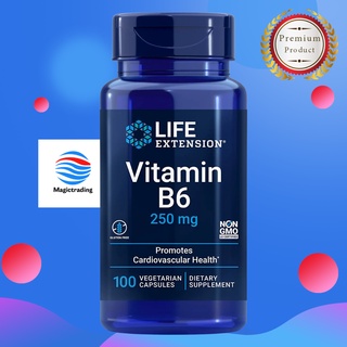 Life Extension Vitamin B6 250 mg / 100 Vegetarian Capsules