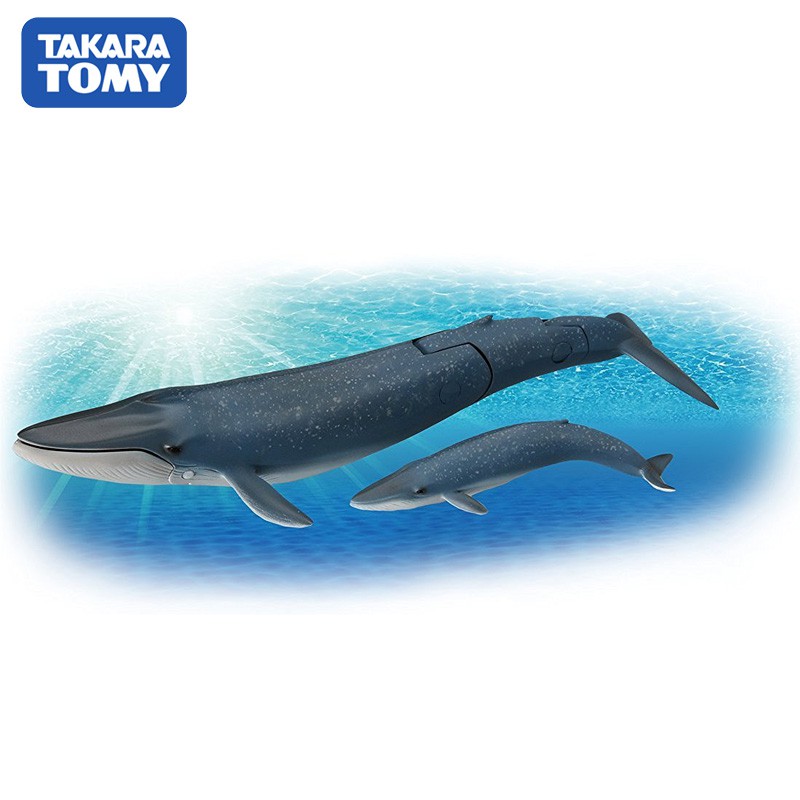 Tomy Takara TOMY Takara Animal Model Toy Sea World Ocean Whale Blue Whale  Parent-Child870012 Eh9N | Shopee Thailand