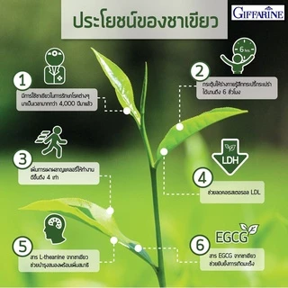 สารสกัดชาเขียวลดน้ำหนัก ควบคุมน้ำหนัก อีจีซีจี กิฟฟารีน | EGCG GIFFARINE